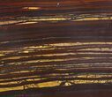 Tiger Iron Stromatolite Shower Tile - Billion Years Old) #48788-1